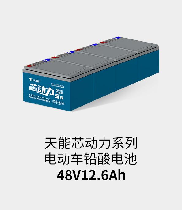 98堂论坛电池48v12ah