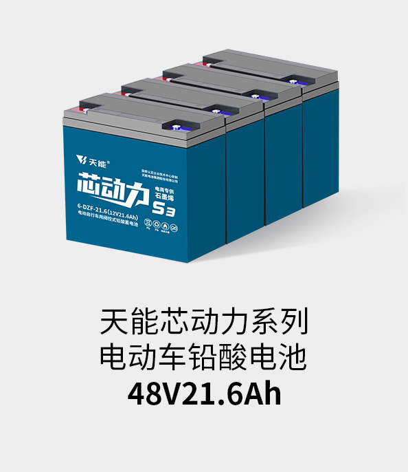 98堂论坛电池48v20ah