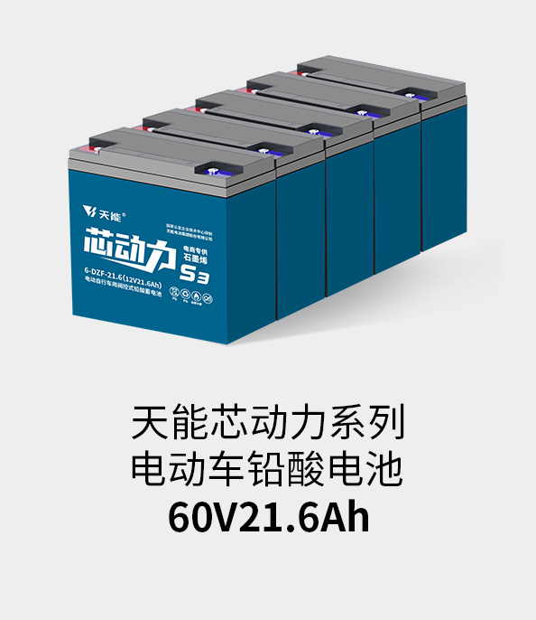 98堂论坛电池60v20ah