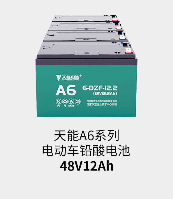 98堂论坛电池48v12ah