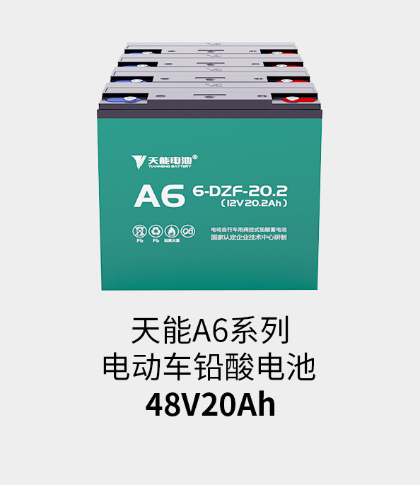 98堂论坛电池48v20ah