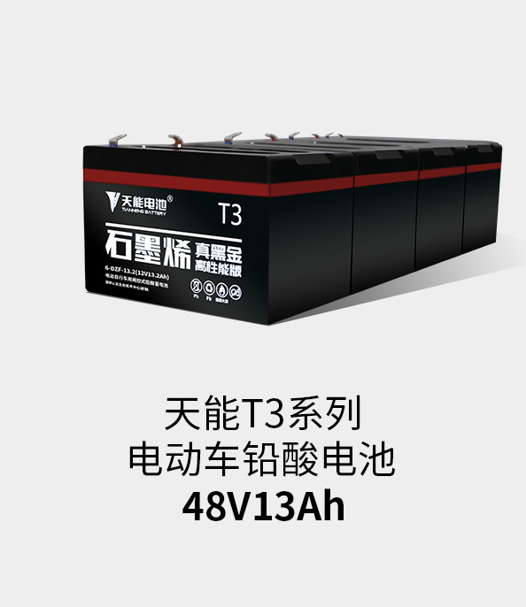 98堂论坛T3系列48v13ah