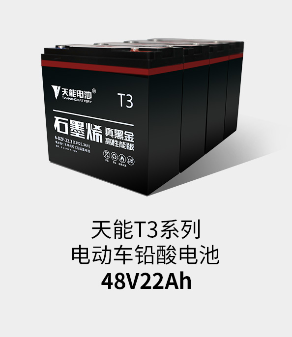 98堂论坛T3系列48v22ah