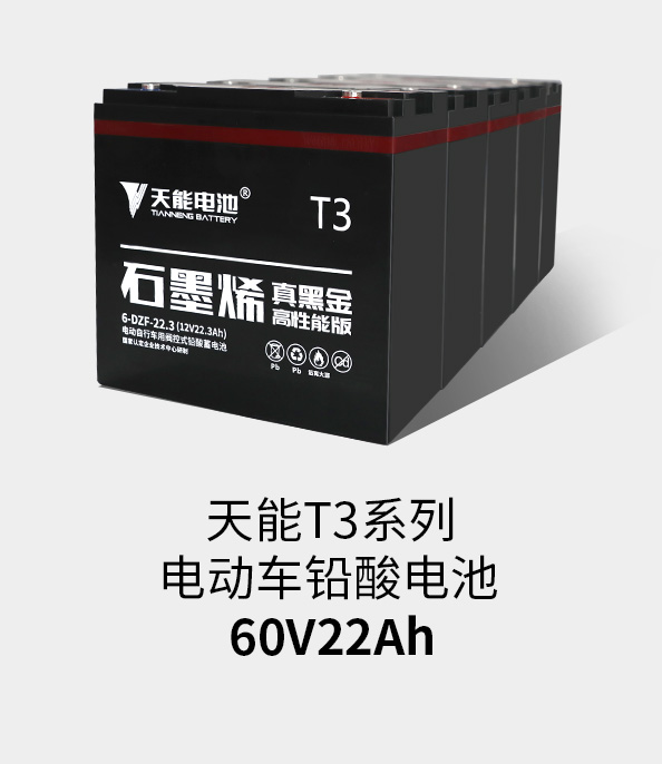 98堂论坛T3系列60v22ah